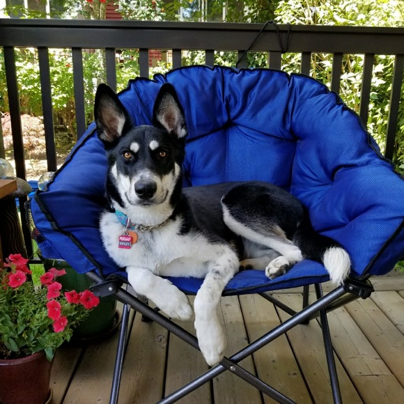 Meet your Posher, Lorene - Picture 1 of 1